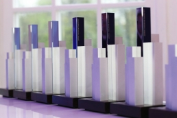 portfolio institutionell Awards 2017